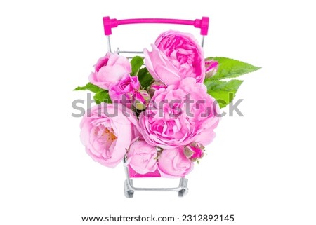 Artistic floral composition: Close-up of a miniature push cart full of delicate blooming roses isolated on white.