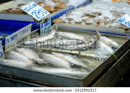 Fresh and Finned: Live Asian Seabass on Display at Thailand Seafood Market translation on price sign "160 Baht for 1 Seabass and Scallops 280 Baht per Kg"