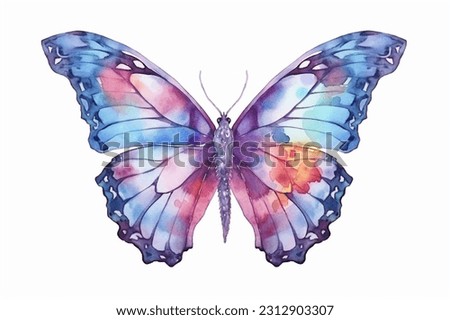 illustration of a watercolor butterfly on a white background