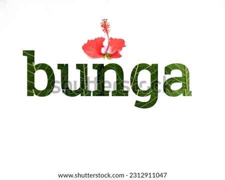 Word design "bunga" on white background. real green leaf and flower font.