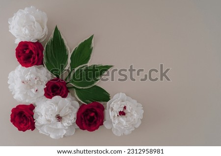 Creative layout made with red and white roses and green leaves on bright background. Flat lay, top of view. Minimal concept. Flowers aesthetic.