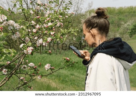 Female holding mobile phone and take photo blooming spring apple trees. Springtime and people