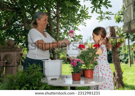 work side by side in the garden, planting and transplanting flowers. Their hands covered in soil, they nurture new life with care and love, creating a blossoming oasis in their backyard. Royalty-Free Stock Photo #2312981231