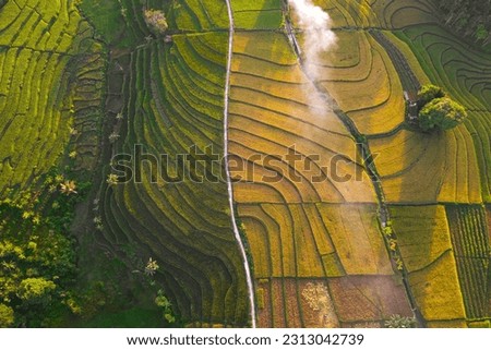 aerial view natural landscape of terraced rice terraces in Indonesia