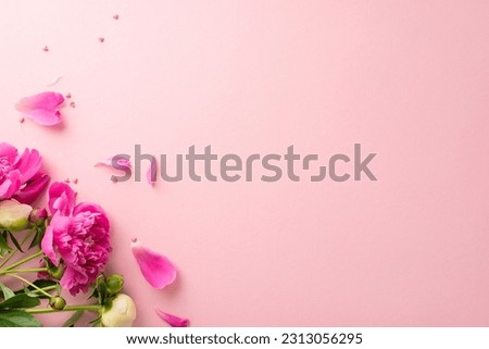 Peony bouquet concept. Above view photo of empty space with bright pink and white peony flowers,petals and buds with small confetti hearts on isolated pastel pink background with copy-space