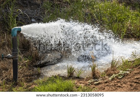 Close-up view of water gushing violently out of a water supply pipe installed in a well filled with dry grass in a farmland in rural Thailand during daytime. Royalty-Free Stock Photo #2313058095