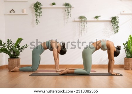 Couple and paired Asian young woman on yoga mat doing breathing exercise yoga together.Yoga meditation of two healthy female balancing body and relax at cozy home. Self care concept Royalty-Free Stock Photo #2313082355