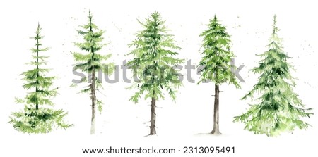 Clipart watercolor trees, pines, Christmas trees. Vintage style.