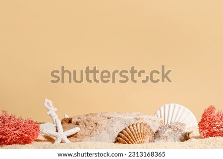 Seashells with starfish and stone on sand, beige background. Podium for cosmetics products. Sea summer vacation card with space for the text