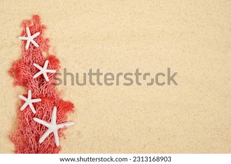 white starfishes with pink seaweed on sand background. Sea summer vacation card with space for the text