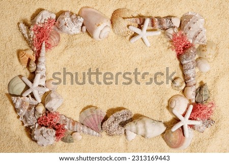 Frame from seashells, starfish on sand. Summer beach or sea concept. Copy space