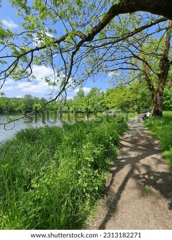 beautiful nature on the lake, green grass, blue sky and white clouds in the distance