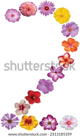 Flowers of various types and colors are arranged in the shape of the letter number two. Flower font alphabet two. isolated on white background.