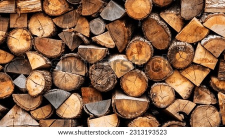 Wooden pile of freshly cut logs, neatly stacked and prepared for use as firewood