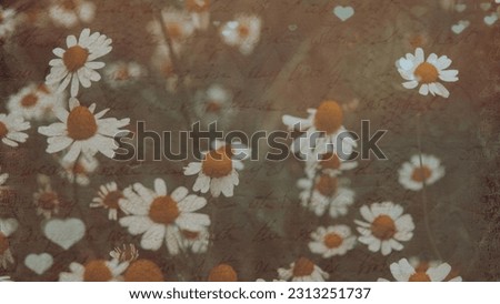 Summer meadow, green grass field and daisy flowers in warm sunlight, nature background concept, soft focus, warm pastel tones	