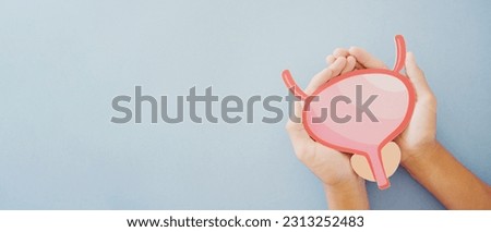 Hands holding bladder, cystitis, urethritis and Urinary Incontinence, bladder cancer concept Royalty-Free Stock Photo #2313252483