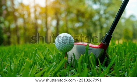 Golf ball and golf club in a beautiful golf course in Thailand. Collection of golf equipment resting on green grass with green background                               