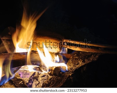 A skewered roasted cone on the fire with firewood and black background on the night in nature. Yellow fire with blue and purple on the bottom over the earth 