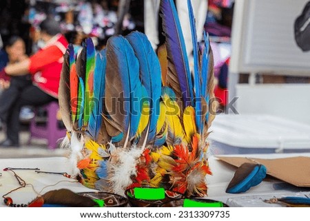 A headdress, a crown of bird feathers, used for special occasions and ceremonies by the indigenous people of the Ecuadorian Amazon region. Pastaza Province, Ecuador