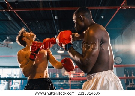 Two professional boxer man exercising in Thai boxing match or MMA in red gloves at the moment of impact on punching, background of ring during boxing fight, sport training for strength power body hit Royalty-Free Stock Photo #2313314639
