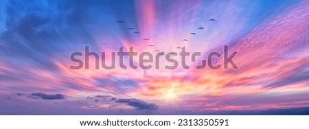 A Bird Formation Silhouette Is Soaring Above The Colorful Clouds At Sunset Banner Royalty-Free Stock Photo #2313350591