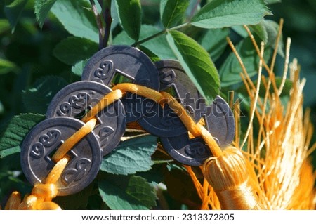 Chinese coins on a branch with green leaves.