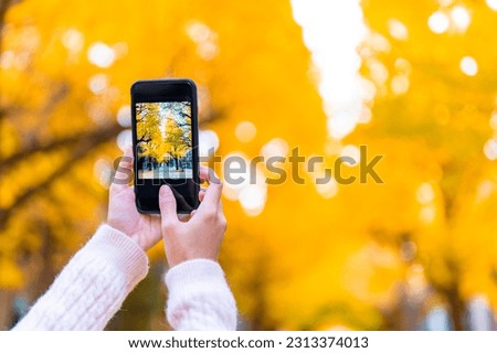 Asian woman hand using mobile phone taking picture of beautiful nature of yellow ginkgo tree leaves falling down in autumn at public park in Tokyo city, Japan on holiday vacation. 