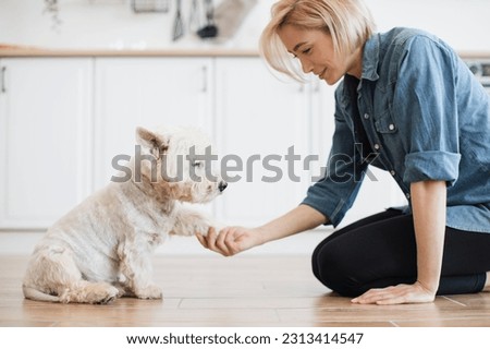 Close up view of charming lady holding left paw of adorable white terrier while leaning on floor of modern kitchen. Talented pet owner teaching purebred dog basic obedience on sunny day at home. Royalty-Free Stock Photo #2313414547