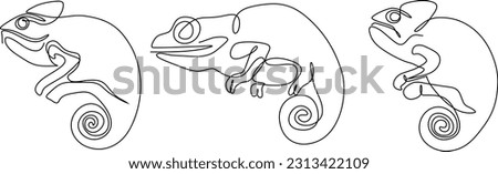  iguana continuous line set illustration