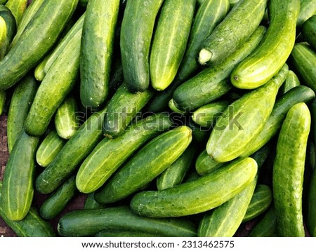 Group of cucumbers is sold in the market.