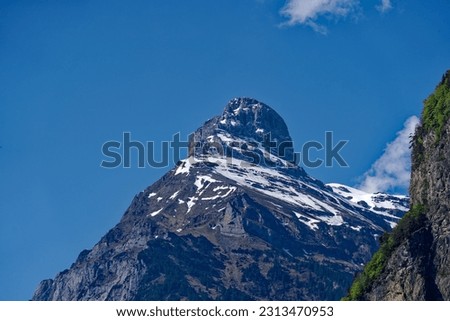 Beautiful mountain panorama with woodland and peak in the Swiss Alps at lakeshore of Lake Lucerne on a sunny spring morning. Photo taken May 22nd, 2023, Flüelen, Switzerland.