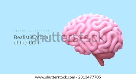 Realistic model of brain, outside view. 3D pink human cerebrum in cartoon style. Banner for medical applications, educational sites. Poster with place for text Royalty-Free Stock Photo #2313477705