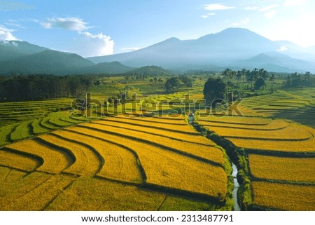 Beautiful morning view indonesia Panorama Landscape paddy fields with beauty color and sky natural light Royalty-Free Stock Photo #2313487791