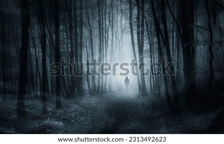 mysterious dark woods with scary ghost at night