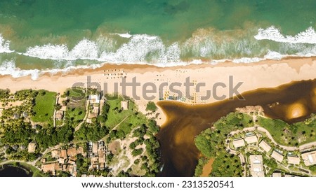 Imbassai Beach, Bahia. Aerial view of nature and sea.