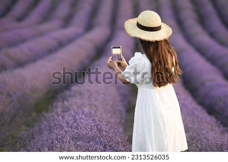 Female asian tourist from the back enjoys the beauty and takes pictures on a smartphone while walking in the lavender fields. A Japanese girl takes a photo of lavender on her phone.