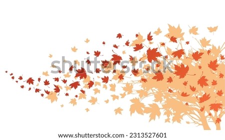 Maple leaves. Autumn background with maple leaves flying and falling from the tree. Isolated on white background. Vector Royalty-Free Stock Photo #2313527601