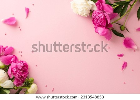 Beautiful flowers concept. Above view photo of empty space with bright pink and white peony flowers,petals and buds with small confetti hearts on isolated pastel pink background with copy-space