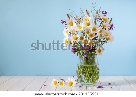 Bouquet of white daisies and other wildflowers in a glass vase on a blue background
