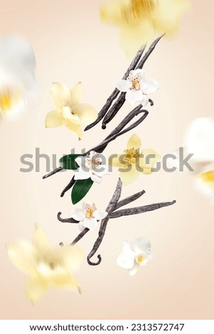 Flying vanilla sticks and orchid flowers on beige background Royalty-Free Stock Photo #2313572747