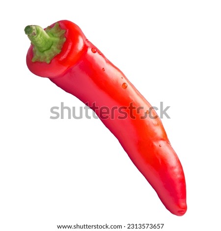 Hot chili pepper food in blank background.