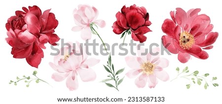 Watercolor flowers clipart burgundy peonies, pink peonies,