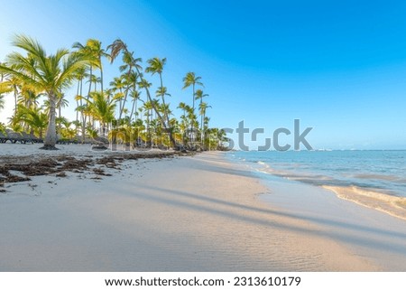 Bavaro Beach in Punta Cana at the Dominican Republic Royalty-Free Stock Photo #2313610179