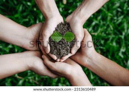 A group of volunteers holds a small tree in their hands to plant trees for the forest on world environment day for a sustainable environment. global care and save the earth.