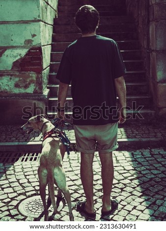 man with a greyhound on a leash