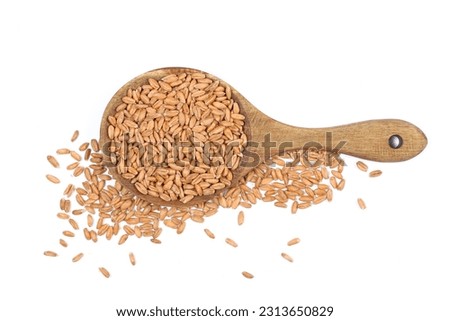 Organic peeled spelt grains in wooden spoon isolated on white, top view Royalty-Free Stock Photo #2313650829