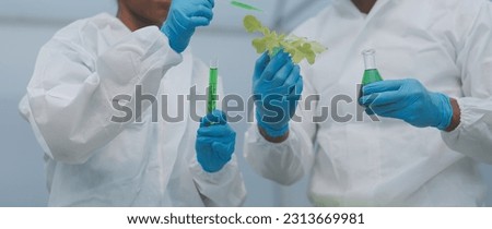 Man and woman use a test tube and a pipette while working in a greenhouse. Royalty-Free Stock Photo #2313669981