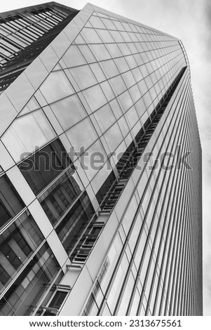 The great towers of Lyon, all in black and white Royalty-Free Stock Photo #2313675561