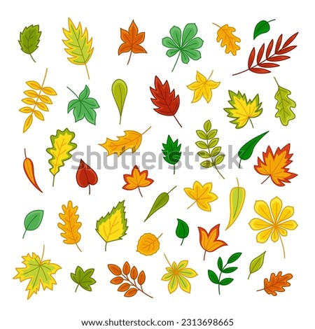 Set of colorful autumn leaves. Clip art of fallen leaves. Cartoon, flat. Isolated vector illustration eps 10