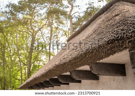 Traditional thatched roof in detail Royalty-Free Stock Photo #2313700921